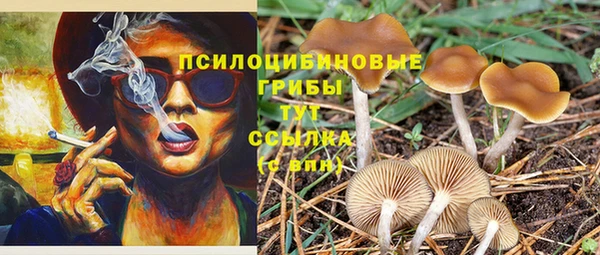 мескалин Богданович