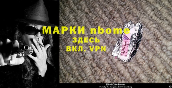 гидра Ахтубинск