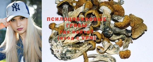 мескалин Богданович