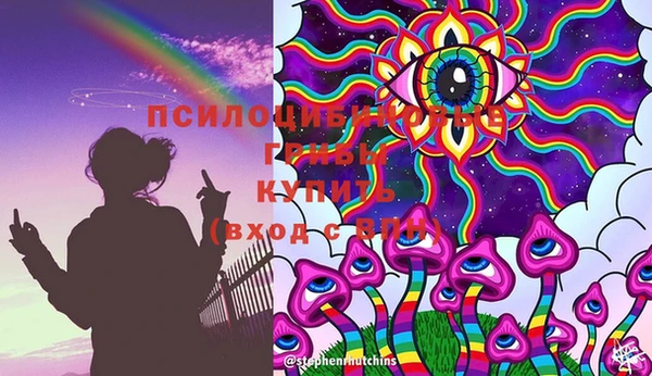 дживик Бугульма