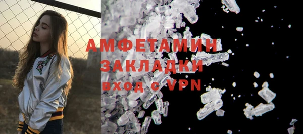 винт Пересвет