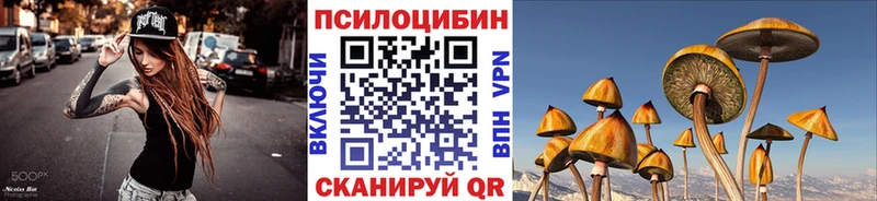 Псилоцибиновые грибы прущие грибы  Зима 